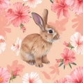 Brown rabbit with pink hibiscus on peach background .