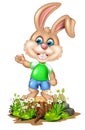 Brown Rabbit On Top of Wood Tree With Rocks And White Flower Cartoon Royalty Free Stock Photo