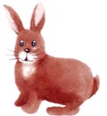 Brown Rabbit in vintage style on white background. Hand drawn High quality Watercolor illustration. Holiday cartoon