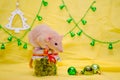 Brown rat dumbo with cute ears sits on a New Year gift jar on a yellow background with Christmas tree, balls and bells Royalty Free Stock Photo