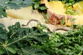 Brown rat snake on dry banana leaf Royalty Free Stock Photo