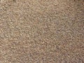 Brown raw Carom seeds