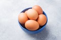 Brown raw Chicken eggs in a blue bowl on a grey background Royalty Free Stock Photo