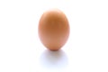 Brown raw egg shell isolated Royalty Free Stock Photo