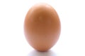 Brown raw egg shell isolated 2 Royalty Free Stock Photo