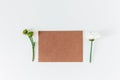 Brown recycle cardboard envelope on the white background. Craft paper empty envelope template, mock up. Top view Royalty Free Stock Photo