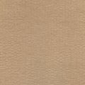 Brown recycle paper corrugated cardboard sheet texture background. Royalty Free Stock Photo