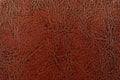 Brown red leather texture Royalty Free Stock Photo