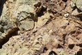 Brown red rocks, Elba mountain, water, natural abstract background Royalty Free Stock Photo