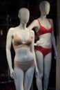 brown and red underwear on mannequin in fashion store showroom for women