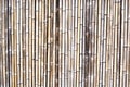 Brown reed background close up Royalty Free Stock Photo