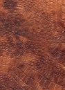 Brown reptile natural leather texture. Dragon skin.