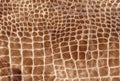 Brown reptile natural leather texture. Snake, crocodile or dragon skin pattern Royalty Free Stock Photo