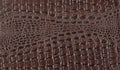 Brown reptile natural leather texture. Snake, crocodile or dragon skin pattern Royalty Free Stock Photo