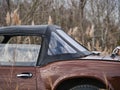 brown retromobile convertible. retro car on a field with tall dry grass