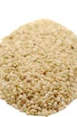 Brown rice Royalty Free Stock Photo