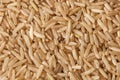 Brown rice background Royalty Free Stock Photo