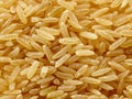 Brown rice background Royalty Free Stock Photo