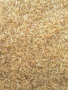 Brown rice background Royalty Free Stock Photo