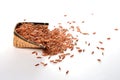 Brown rice Royalty Free Stock Photo