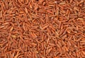 Brown rice, close-up Royalty Free Stock Photo