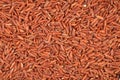 Brown rice, close-up Royalty Free Stock Photo