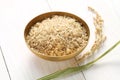 Brown rice with ear of rice Royalty Free Stock Photo