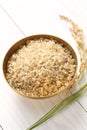 Brown rice with ear of rice Royalty Free Stock Photo