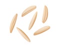 Brown rice grain. Unpolished rice seeds in cartoon flat style.