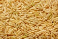 Brown rice grains Royalty Free Stock Photo
