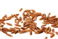 Brown rice isolated on white background Royalty Free Stock Photo