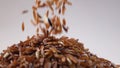 Brown rice pouring slow motion