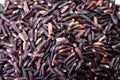 Brown rice or Rice berry Royalty Free Stock Photo