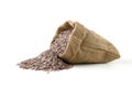 Brown rice in sack bag Royalty Free Stock Photo