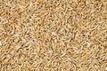 Brown rice texture