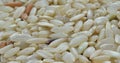 Brown rice Royalty Free Stock Photo