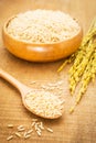 Brown rice on wooden spoon and bowl Royalty Free Stock Photo