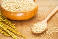 Brown rice on a wooden spoon and bowl Royalty Free Stock Photo