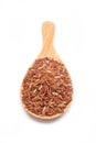 Brown rice with wooden spoon. Royalty Free Stock Photo