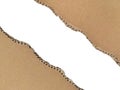 Brown ripped torn cardboard edge strips isolated on white background Royalty Free Stock Photo