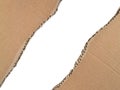 Brown ripped torn cardboard edge strips isolated on white background Royalty Free Stock Photo