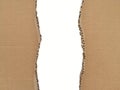Brown ripped torn cardboard edge strips isolated on white background Royalty Free Stock Photo