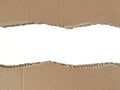Brown ripped torn cardboard edge strips isolated on white background Royalty Free Stock Photo