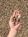 Brown River gravel stone on hand