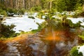 Brown river on the peat bog, forest covered with moss