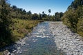 The Brown River at the start of the Heaphy Track