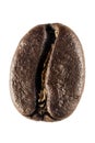 Brown roasted coffee bean isolated on white background. Super macro in huge definition Royalty Free Stock Photo