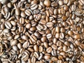 Brown roasted coffee beans, background texture Royalty Free Stock Photo