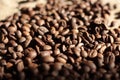 Brown roasted coffee beans are scattered on the burlap macro Royalty Free Stock Photo