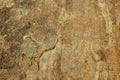 A brown rock water way texture natural background